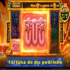 fortuna do mc pedrinho